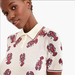 🆕J. Crew The Reeds lobster knit polo 570